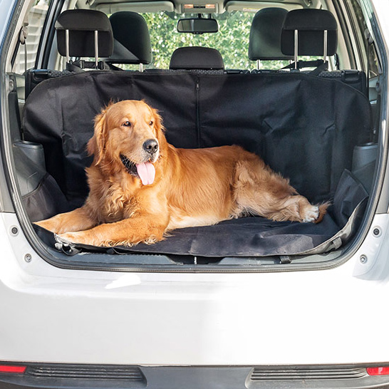 Bilbeskyttelse for kæledyrsejere