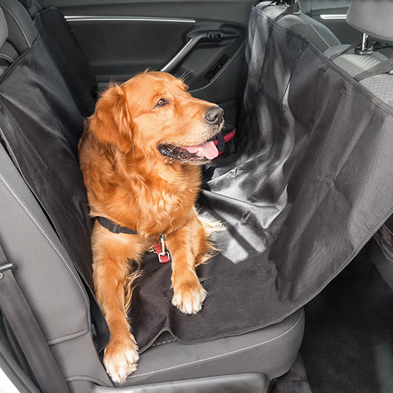 Bilbeskyttelse for kæledyrsejere