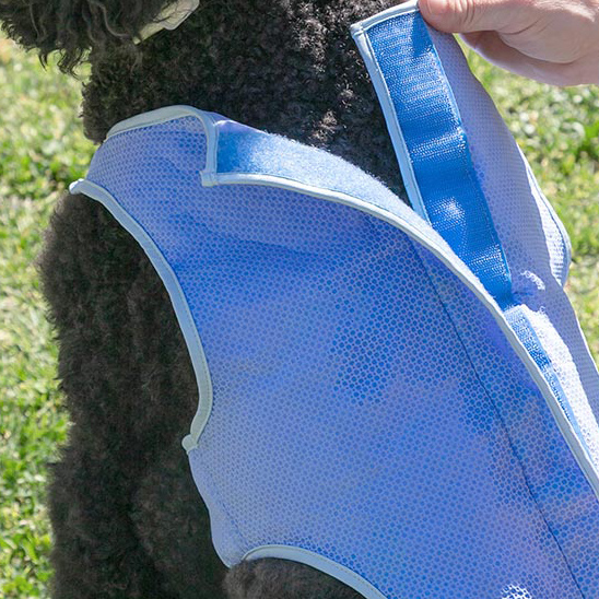 Kølevest til kæledyr i mellemstørrelse